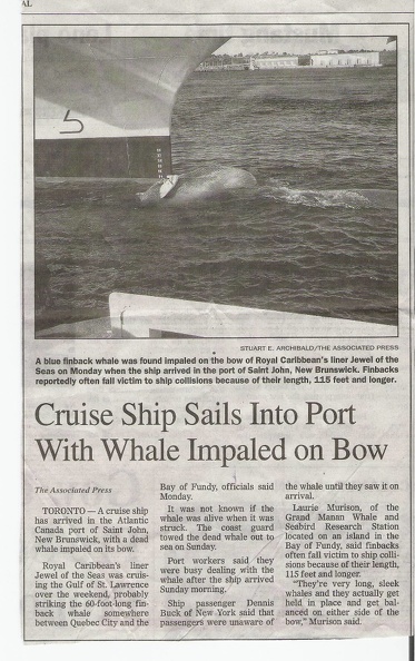 G_St_John_Whale_article_in_Albuquerque_Journal.jpg